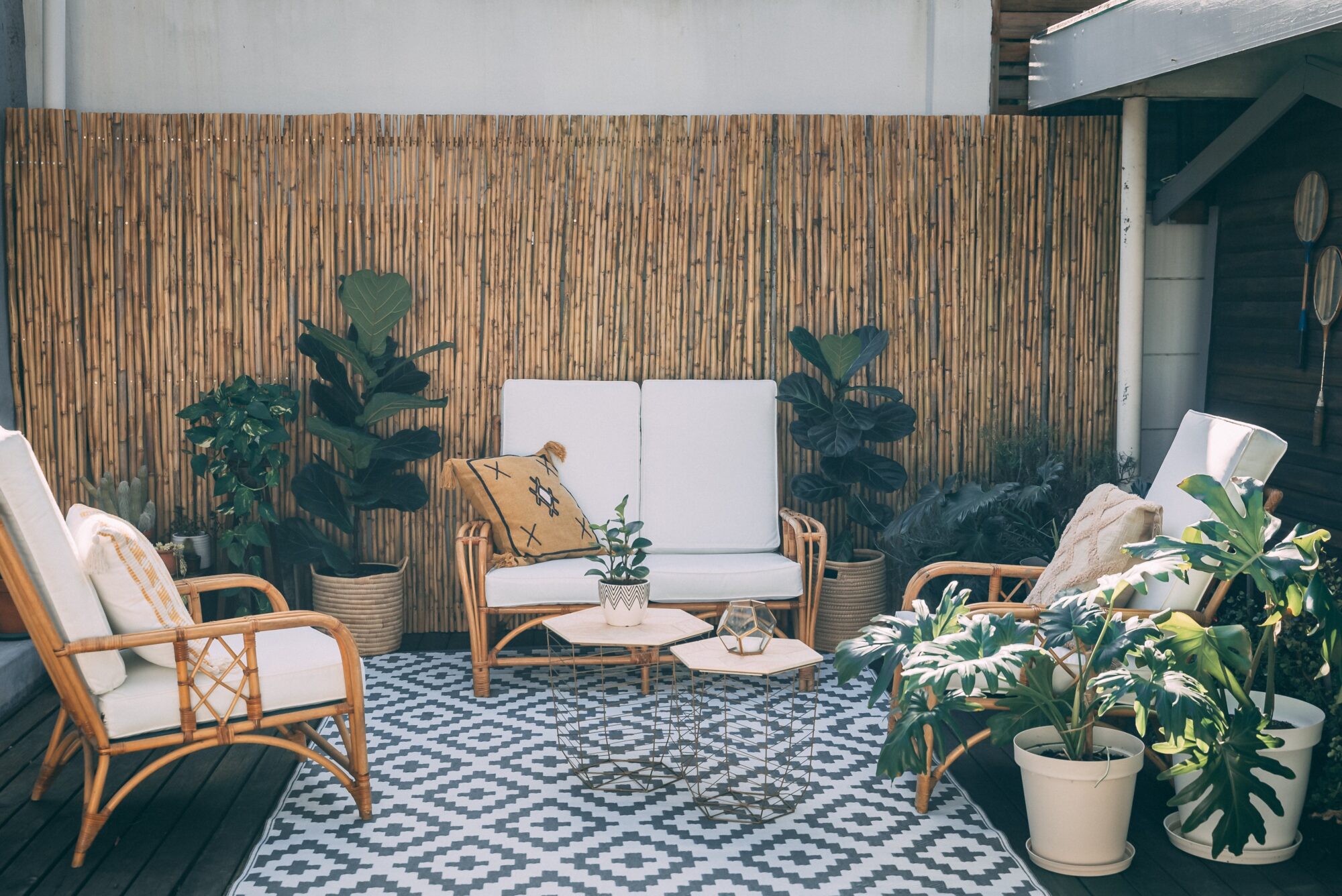 Ideas inspired by nature