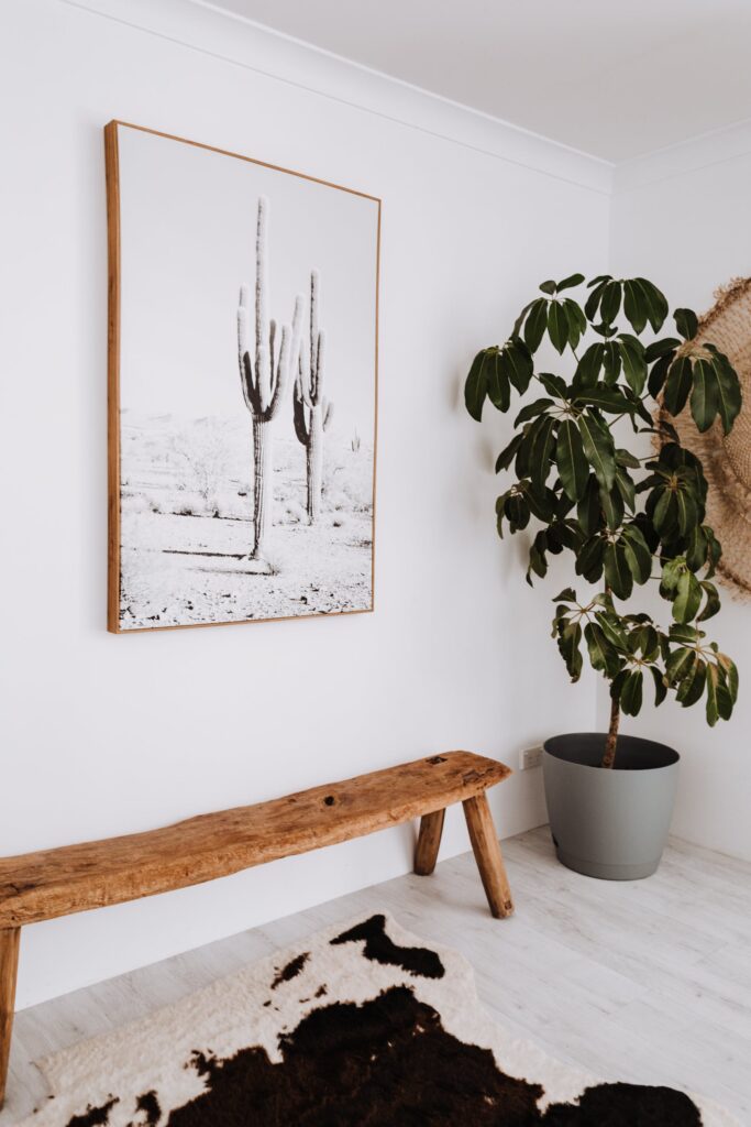 An image of an indoor plant with a wooden bench and a wooden frame wall art