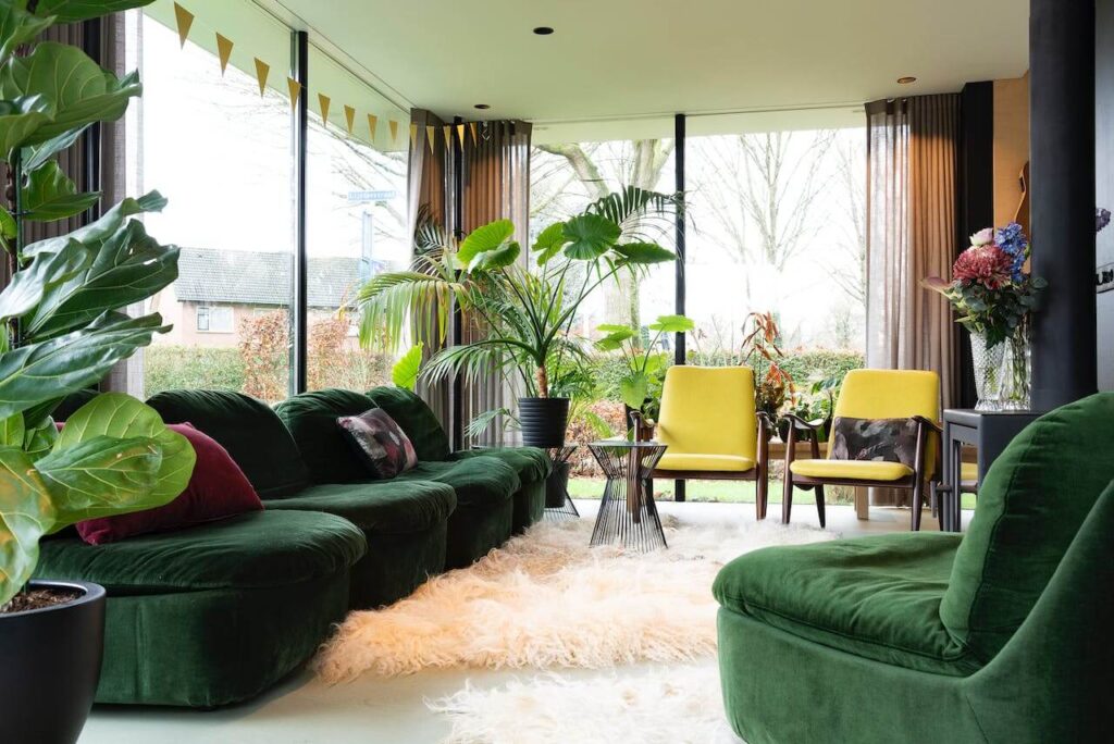 biophilic-home-design-in-the-living-room