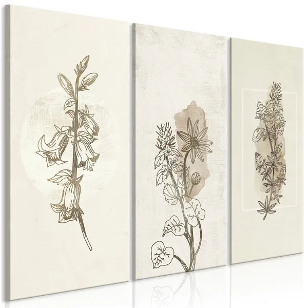 Art print on canvas 'Herbarium (3-parts)' picture