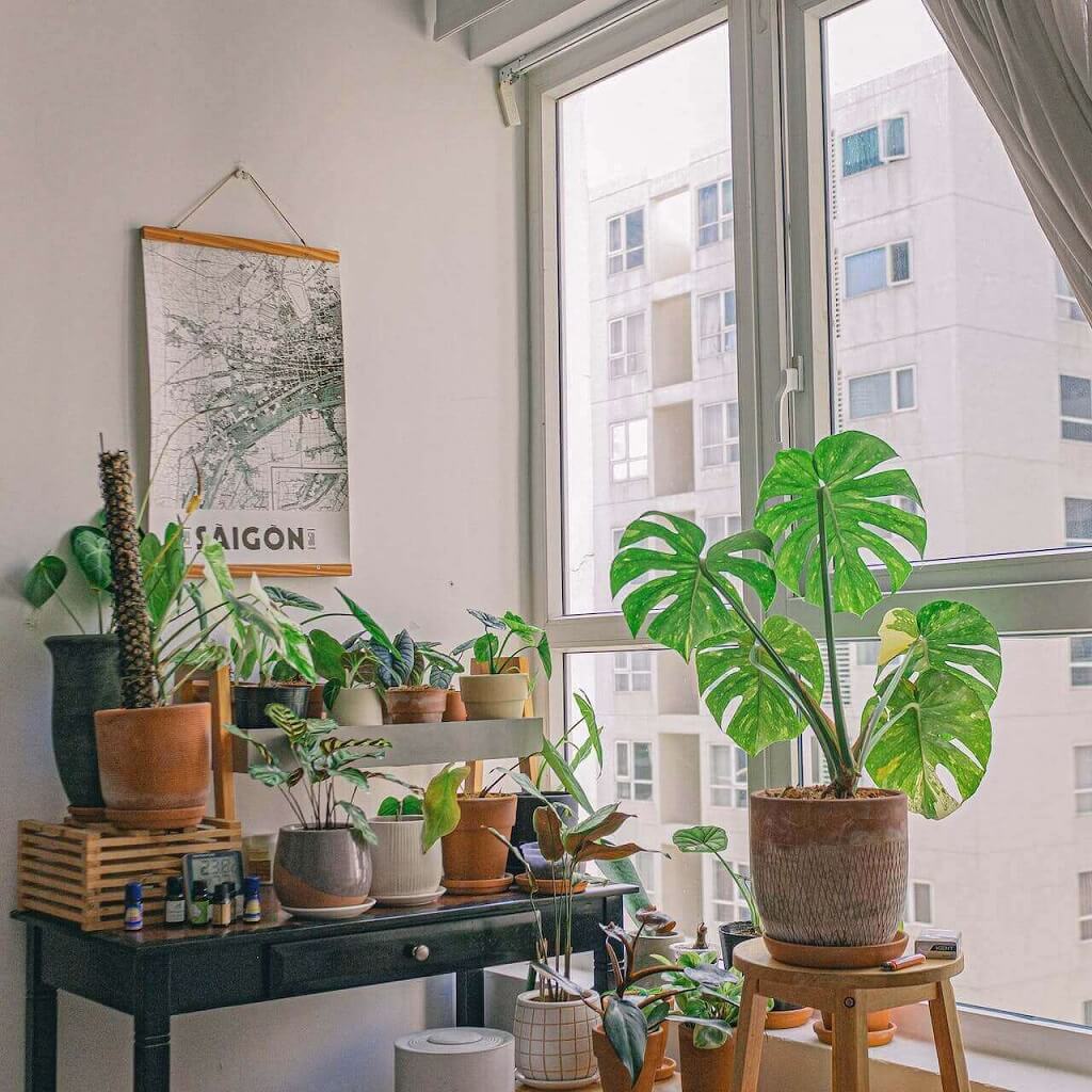 conservatory design in the corner of your living room
